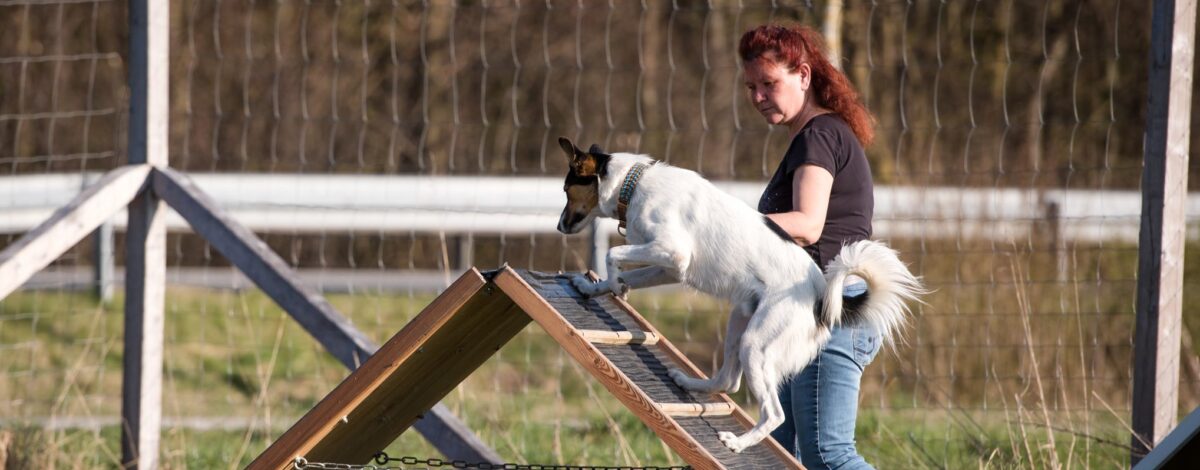 Turnierhundesport 1 e1590660148927